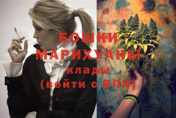 индика Армянск