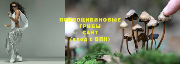 спиды Аркадак