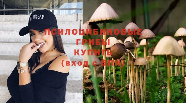 хмурый Алексин